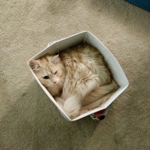 Meet your Posher, Kate